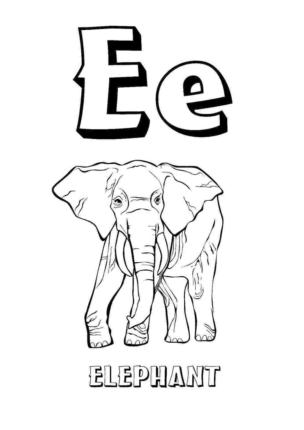 Раскраски Английские слова слон Английский Английские слова , слон