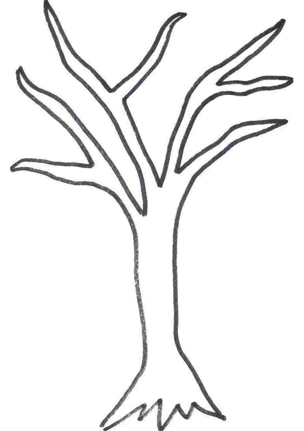 Абрикосовое дерево