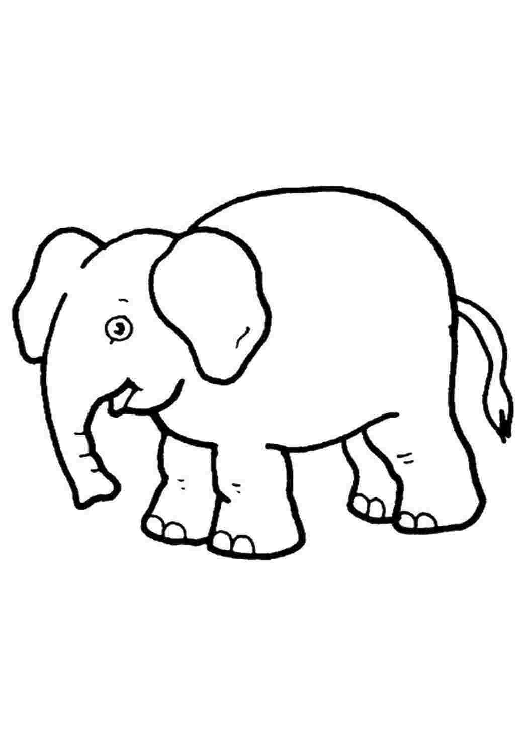 Раскраска «Слонёнок»
