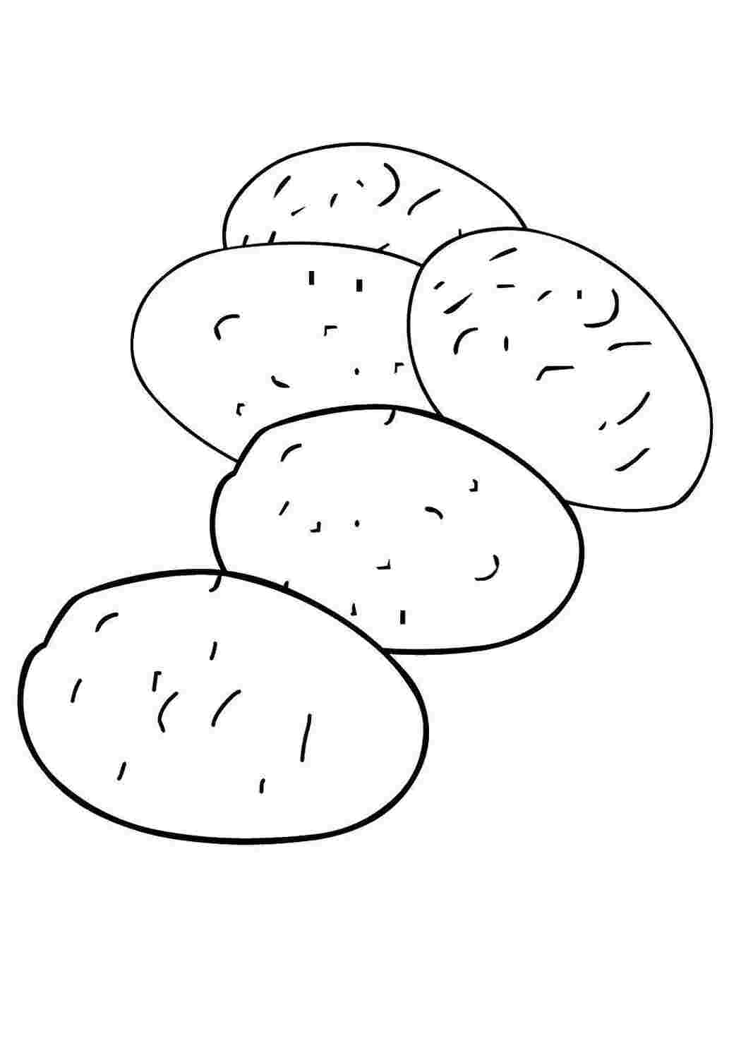 Овощи картофель, овощи