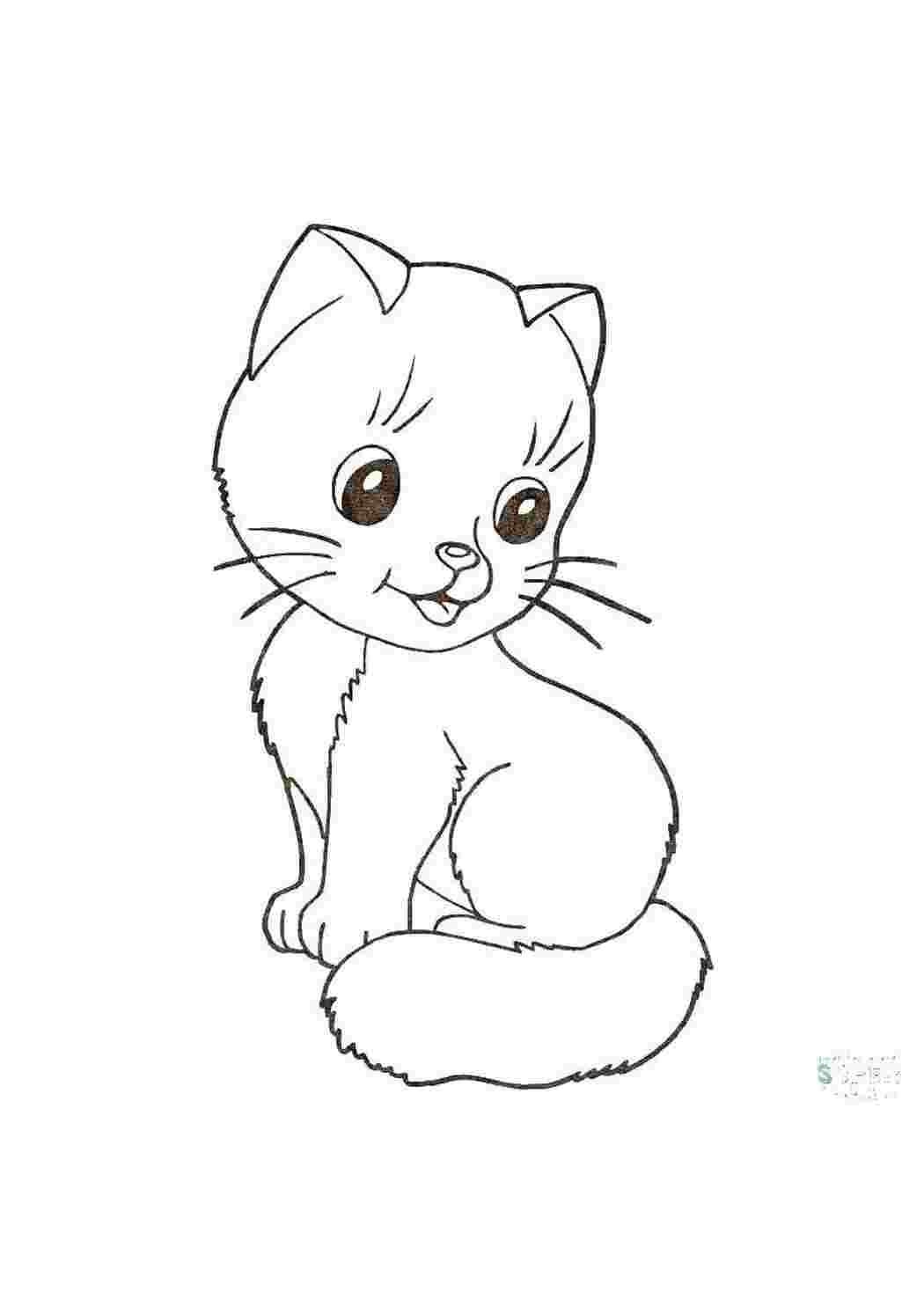 детеныши животных животные, кошка, котенок