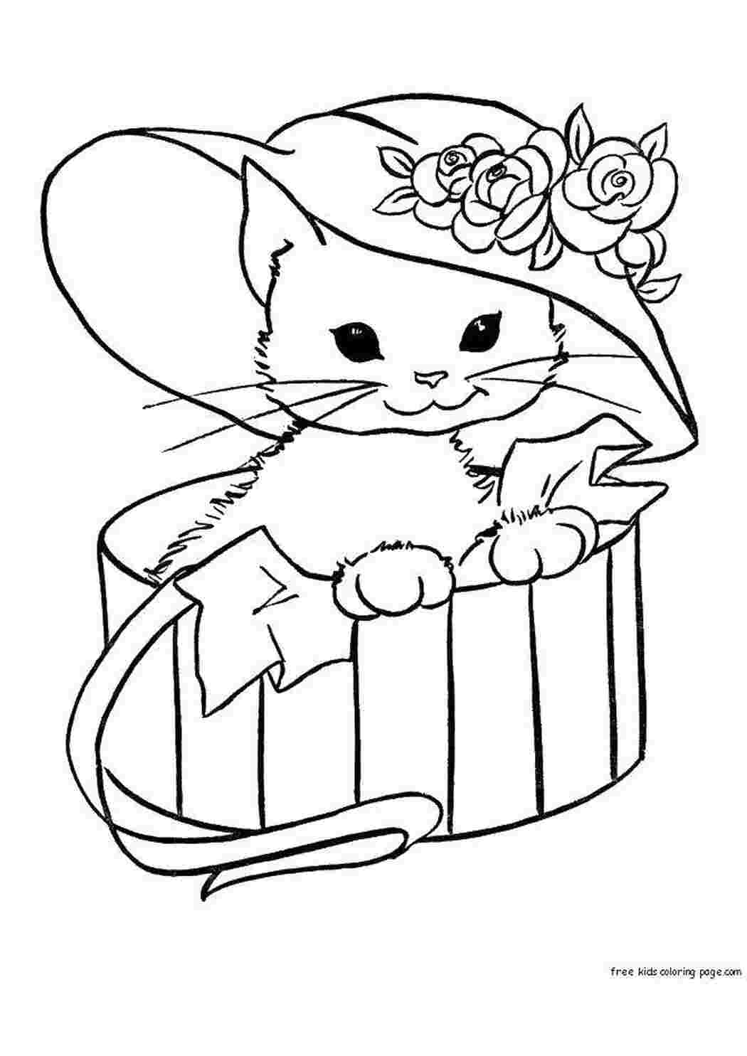 Раскраски Котик в подарок Коты и котята Животные, котёнок