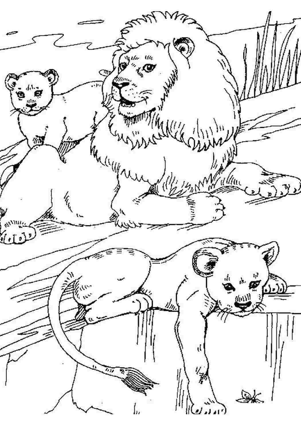 Король лев король лев, мультик