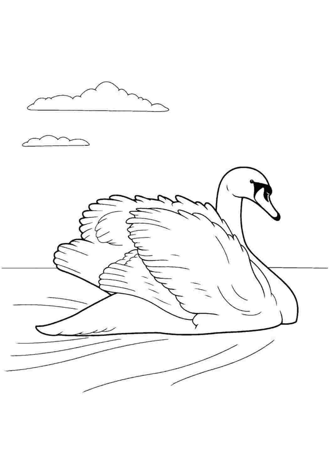 Лебедь Лебедь