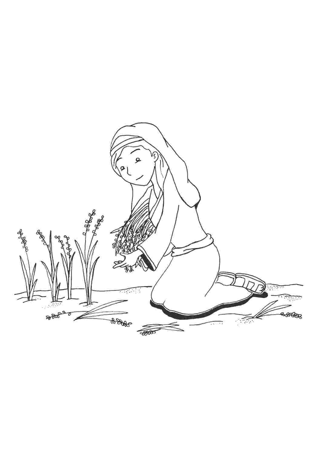 Раскраски Девушка собирает урожай библия девушка, люди