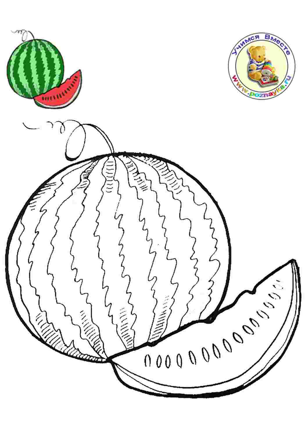 Раскраски Раскраска, детская, арбуз, ягода, большой, сочный Раскраски Ягоды 