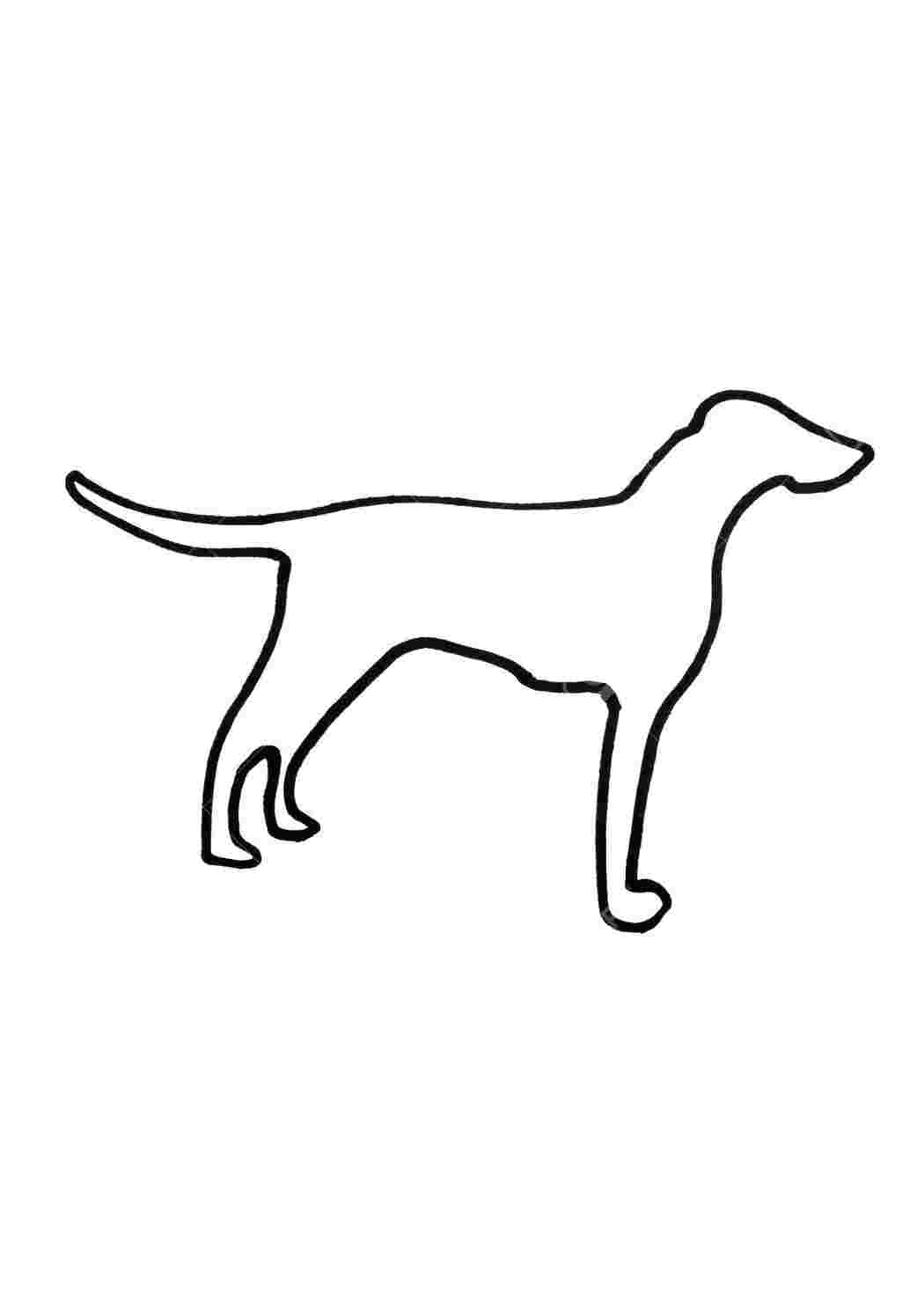 Раскраски Контур собаки контуры собаки шаблоны, контуры, контур собаки