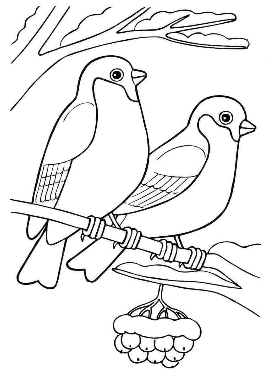 Рябина и птицы рисунок