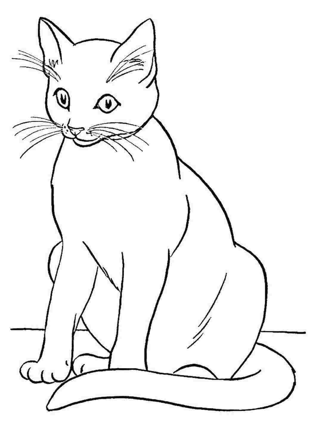 Раскраски Кошечка сидит Коты и котята животные, котенок, кошка