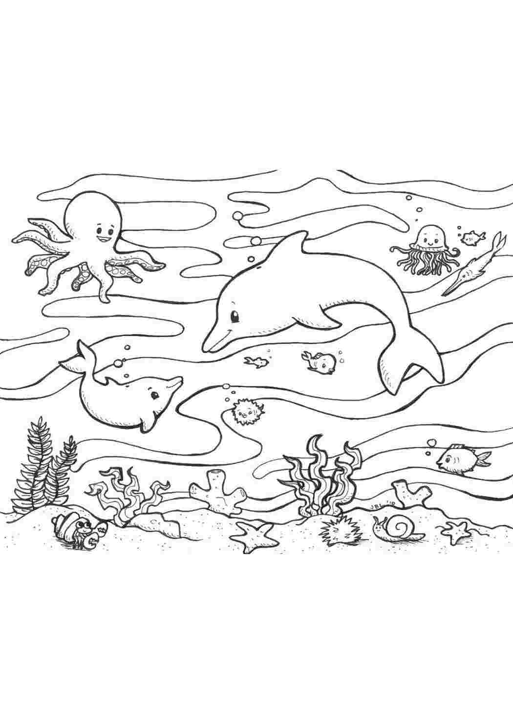 Раскраски Подводные друзья Морские обитатели Подводный мир, дельфин