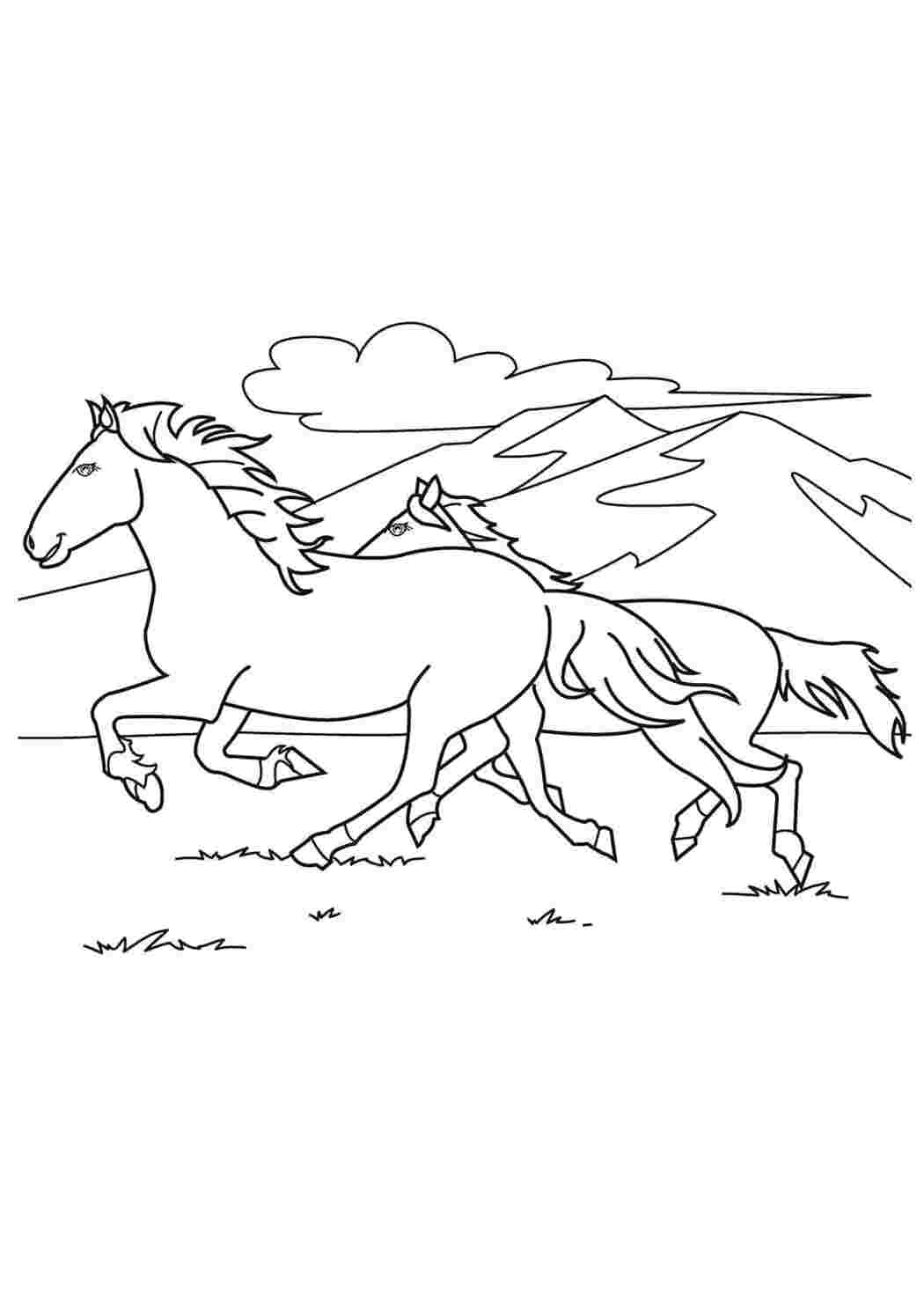 Раскраски Раскраска лошадь Домашние животные Лошадь