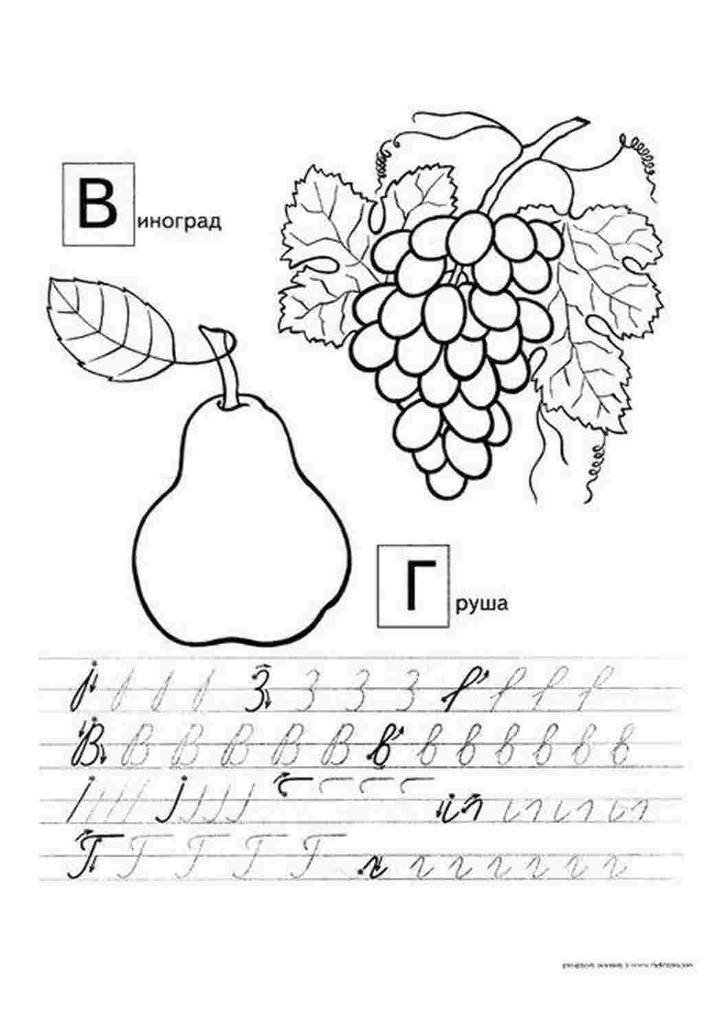 Раскраски пропись, буква в, буква г Раскраски Прописи буквы 