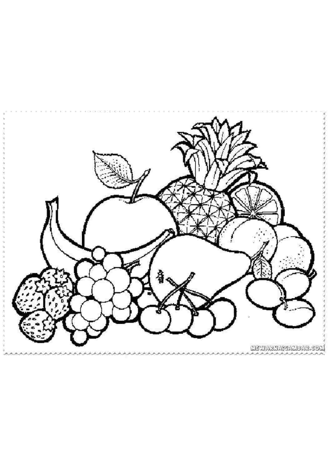 Раскраски Раскраски ягоды малина вишня арбуз вишня крыжовник  Фрукты и ягоды.