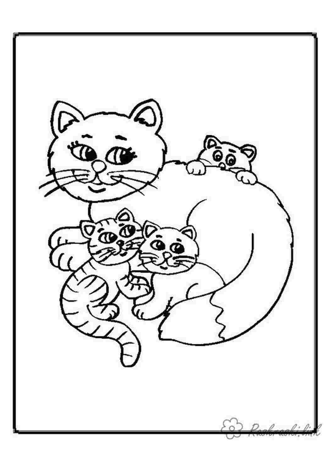Раскраски Раскраски кошки  раскраска, котята, добрая кошка, для детей Раскраски кошки  раскраска, котята, добрая кошка, для детей  Раскраски скачать онлайн