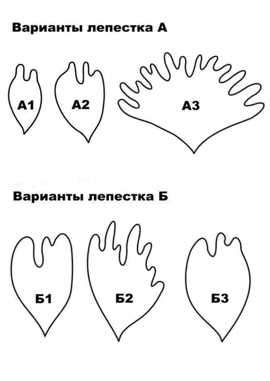 Раскраски Пион лепестки для вырезания Пион лепестки для вырезания  Раскраска цветок