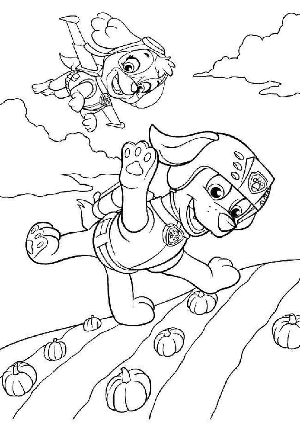 Раскраски Зума и скай Персонажи из мультфильма зума, скай, щенячий патруль