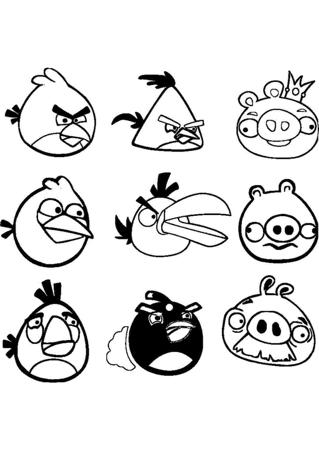 Раскраски, Энгри бердз, angry birds энгри бердз, angry birds, Свинья,  Тукан, Влюбленные птички, Игра angry birds, Белая птица бумеранг.