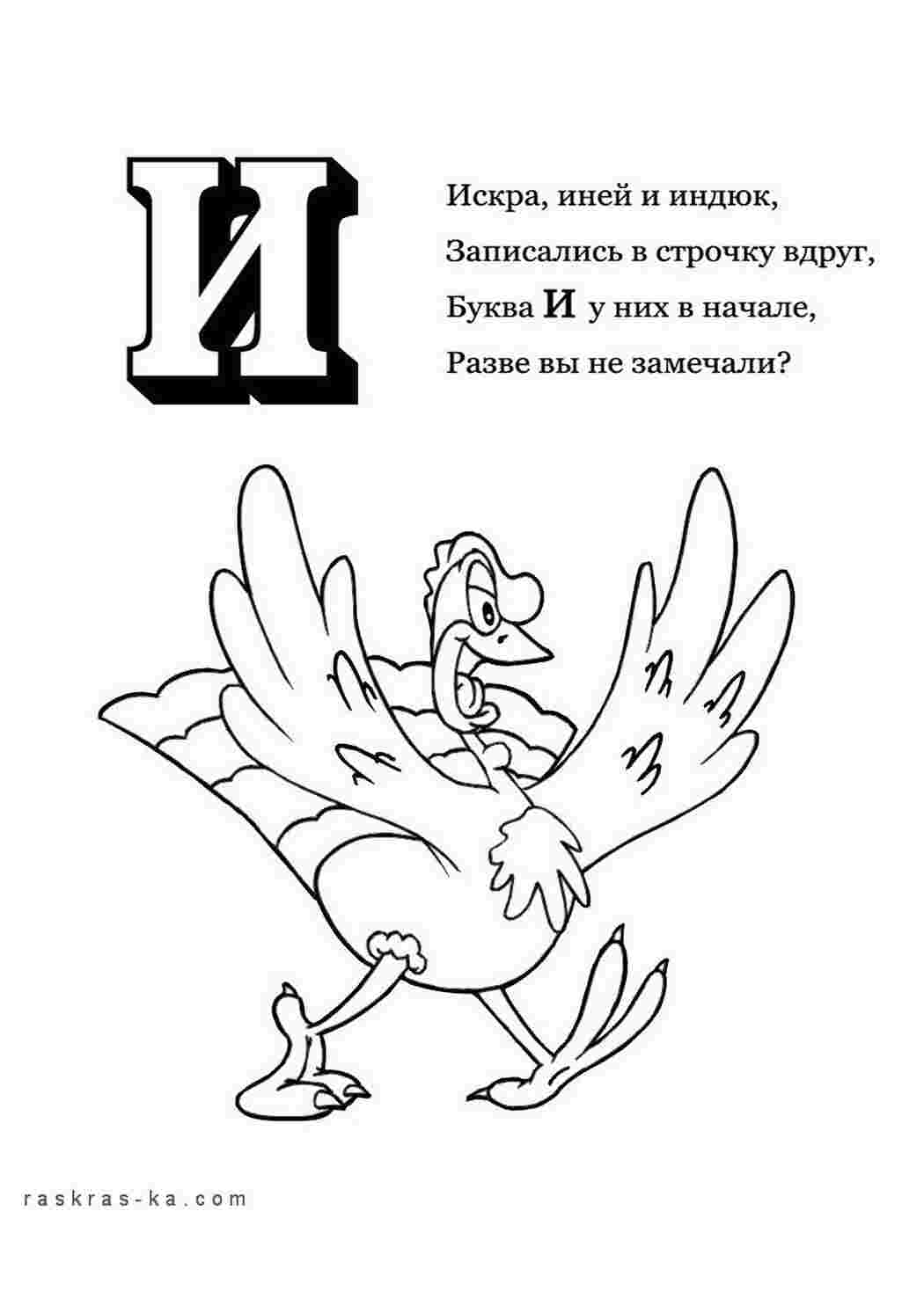 Раскраски Раскраски буквы алфавита 