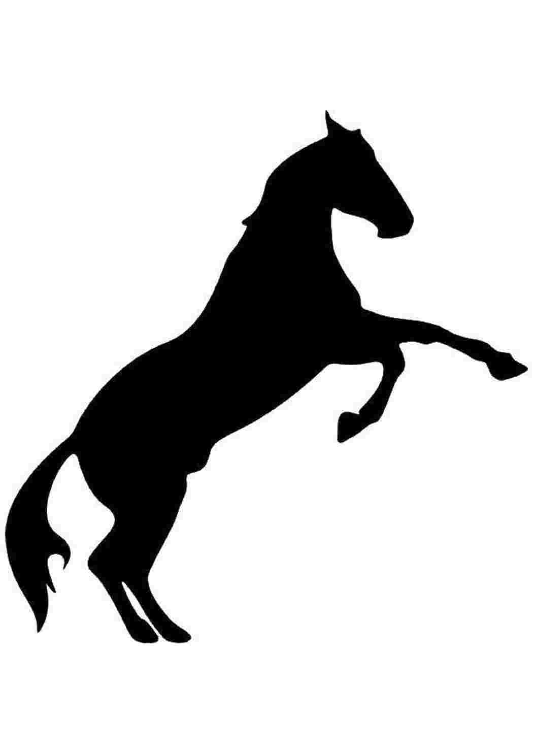 Раскраски Контур лошади контуры лошади Контур, лошадь