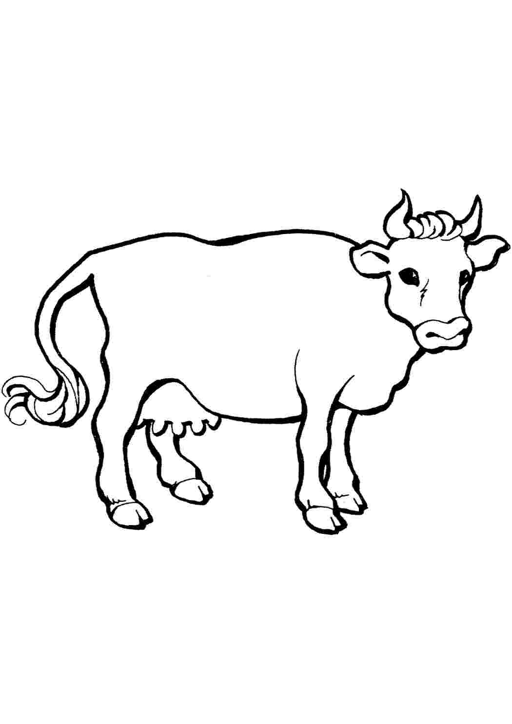 Раскраски Раскраски с домашними животными. Корова буренка для мальчиков и девочек животные