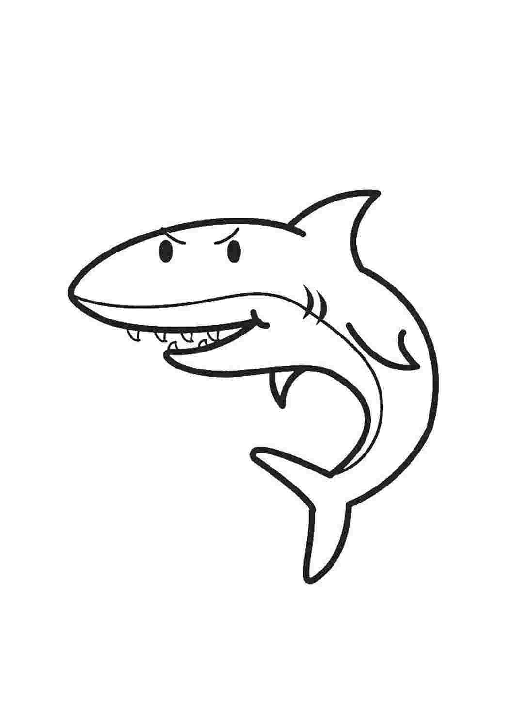 Раскраски Акула с острыми зубами Акулы Акула