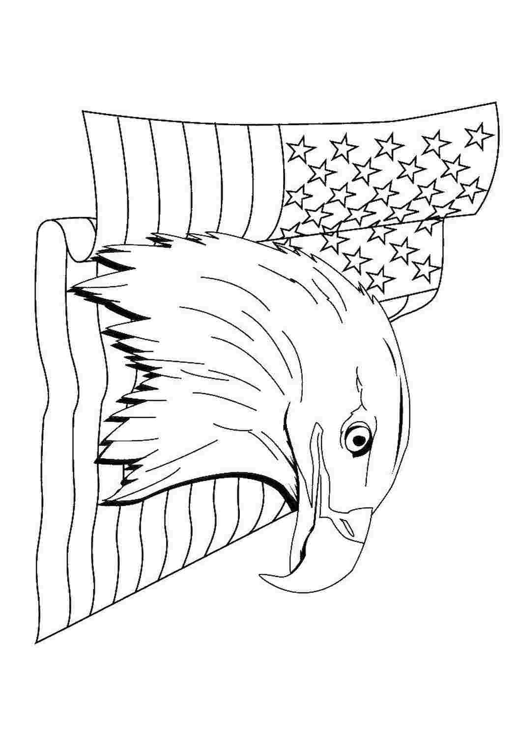 Раскраски Американский флаг и белоголовый орлан символ сша США орлан, флаг, 