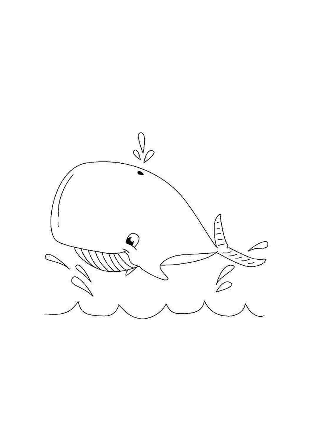 кит море, морские обитатели, морские жители, кит