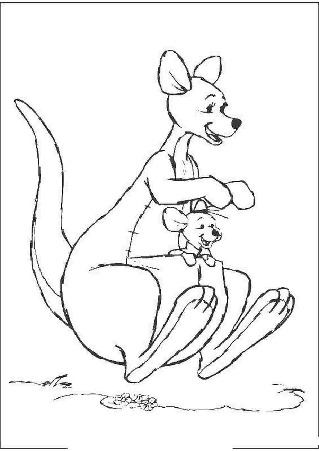 Раскраски Кенгуру кенга с кенгуренком ру в кармане Диснеевские мультфильмы Винни Пух, пятачок, кенгуру
