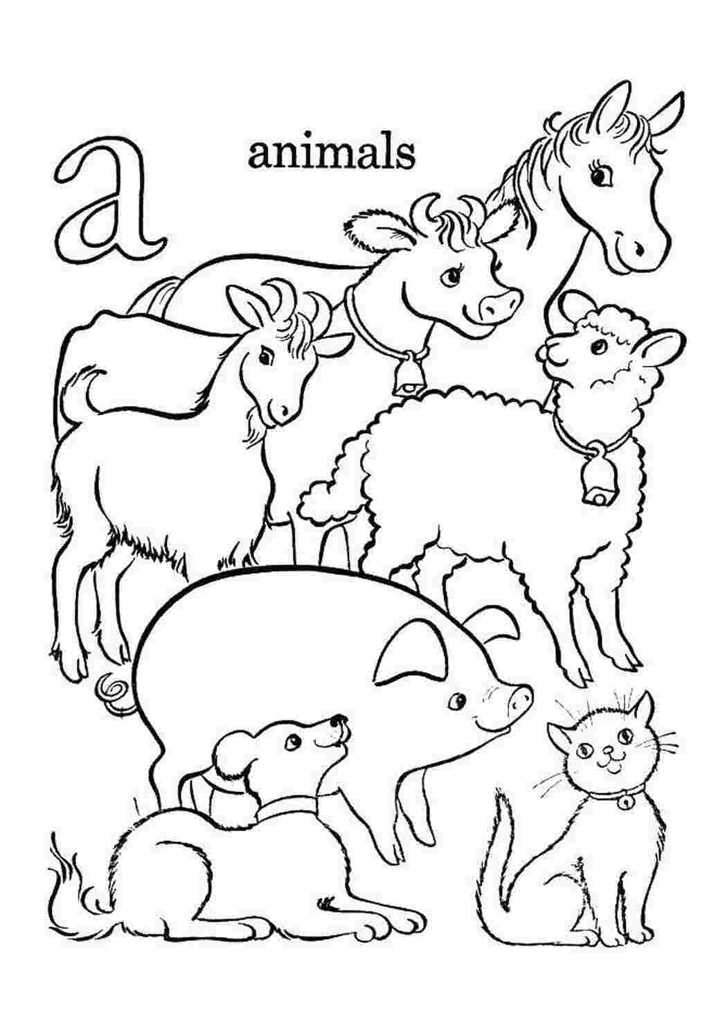 Раскраски Животные животные животные, звери