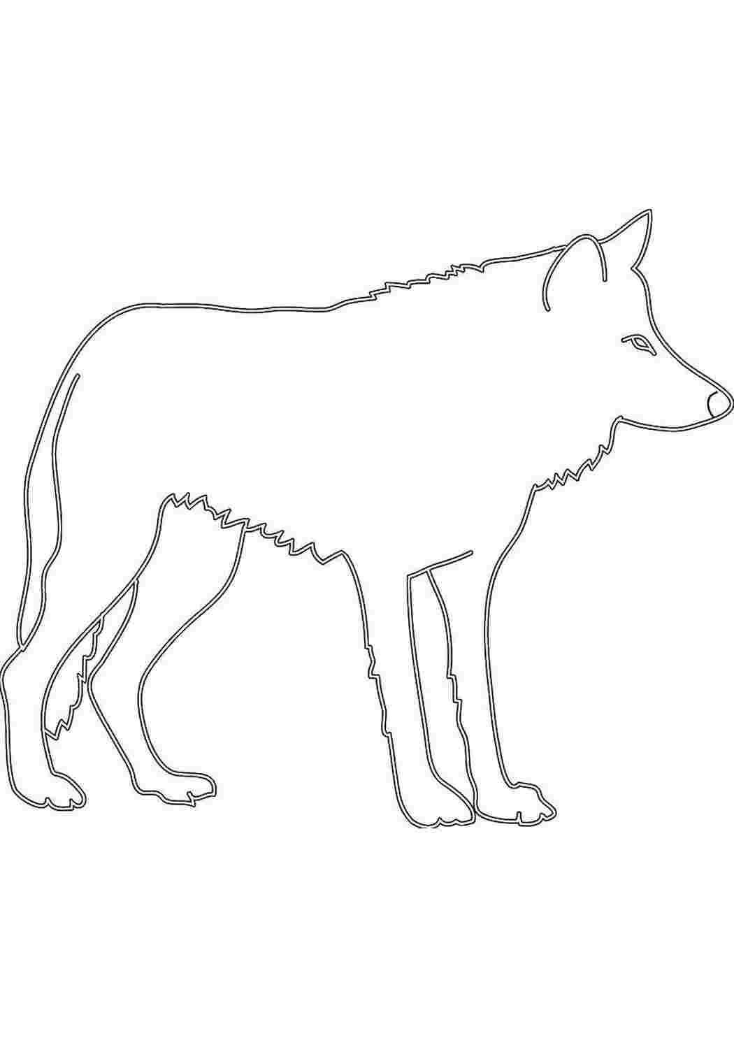 Волк детский рисунок