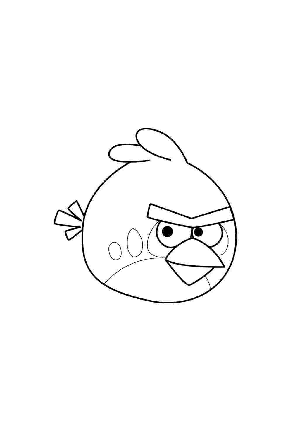 angry birds птица, angry birds