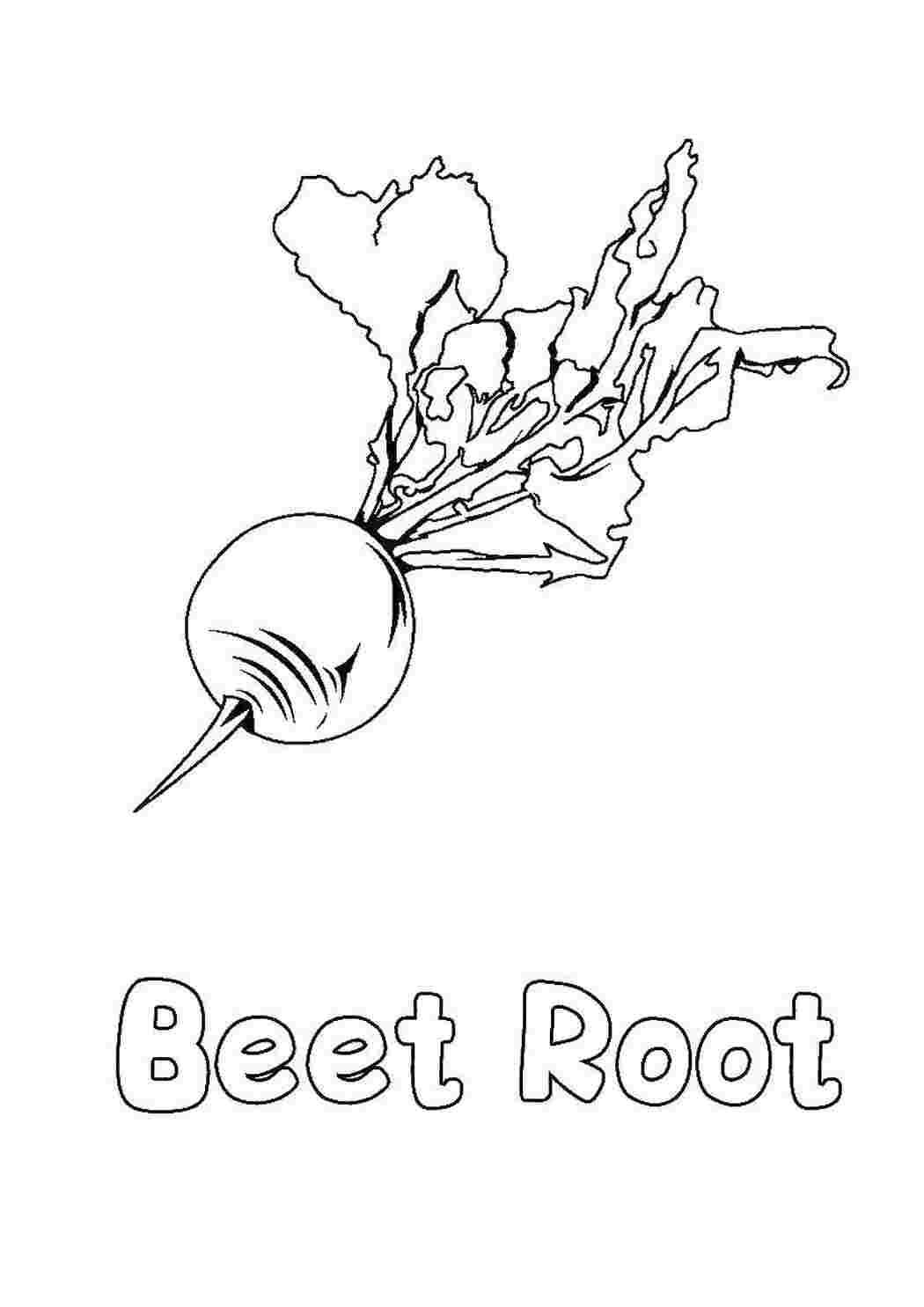 Раскраски Редис Овощи на английском Английский, овощи