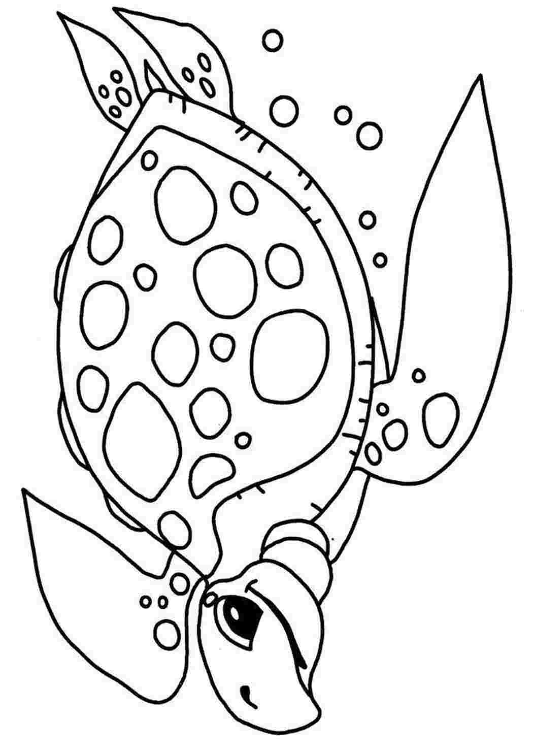 Раскраски картинки на рабочий стол онлайн Морская черепаха Распечатать раскраски для мальчиков