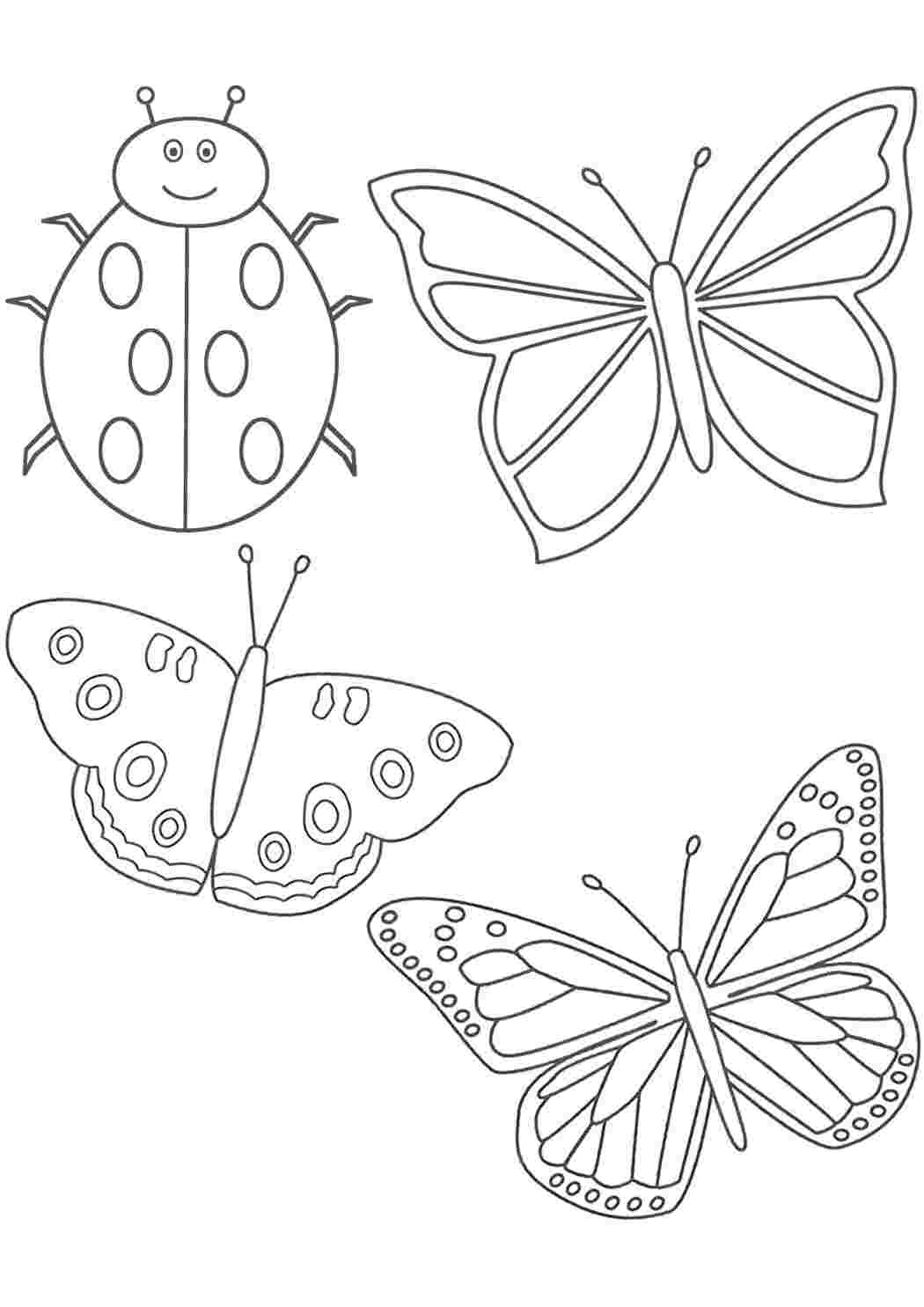 Раскраски раскраски насекомые для детей Насекомые Божья коровка, Бабочки