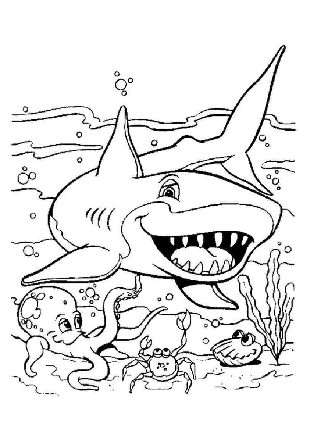 Раскраски раскраски акула акулы   Акула, осьминог, рак и моллюск