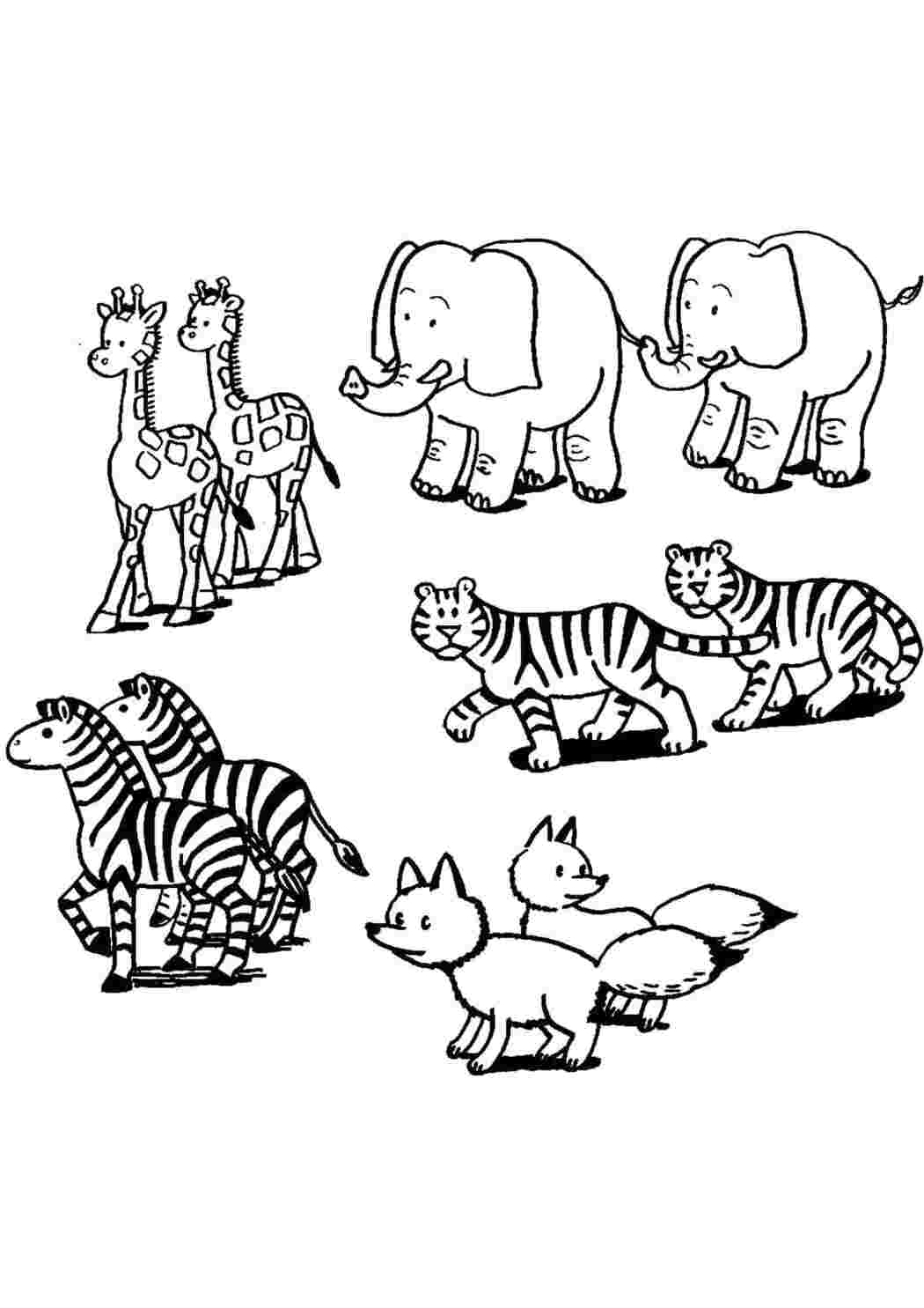 Раскраски Скачать или распечатать раскраску, слоны, жирафы, тигры, зебры, лисы  Дикие животные Тигр, слон, жираф, зебра, лиса