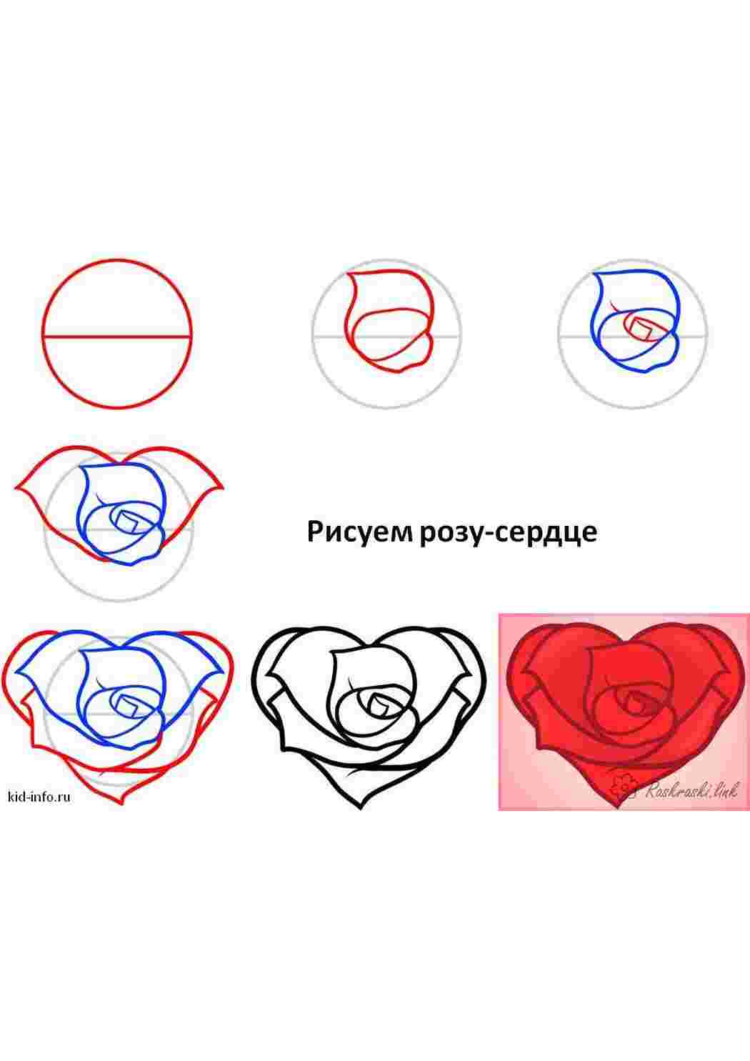 Раскраски как нарисовать розу сердце Раскраски Как нарисовать 