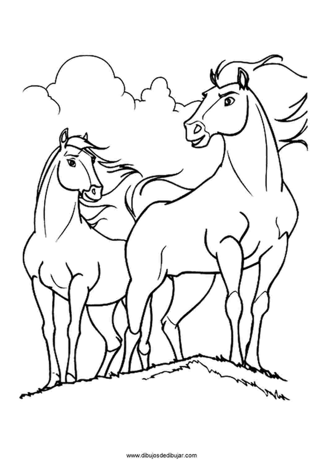 Распечатать раскраски лошади и кони