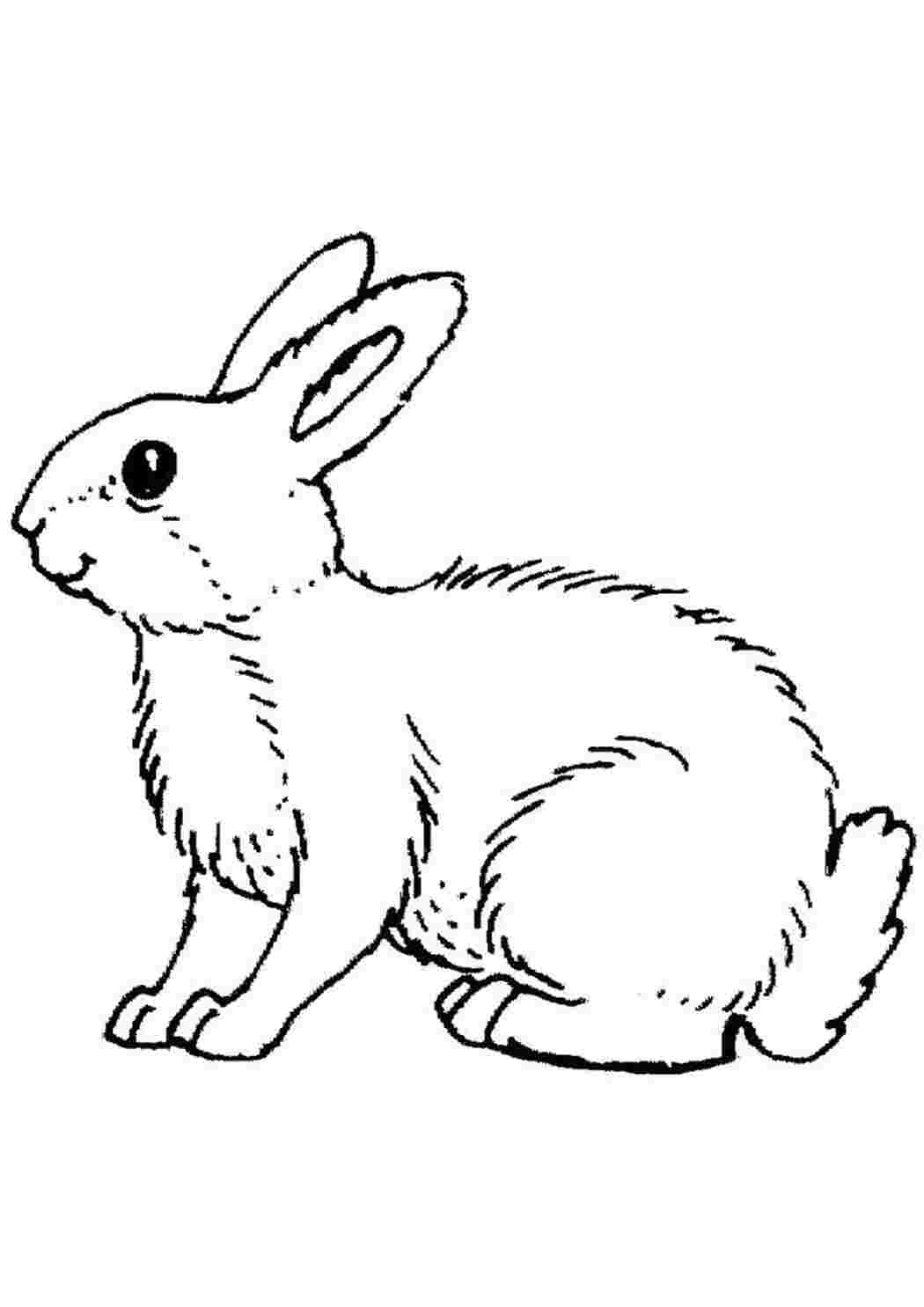 Раскраска для детей 2-3 года простой заяц распечатать