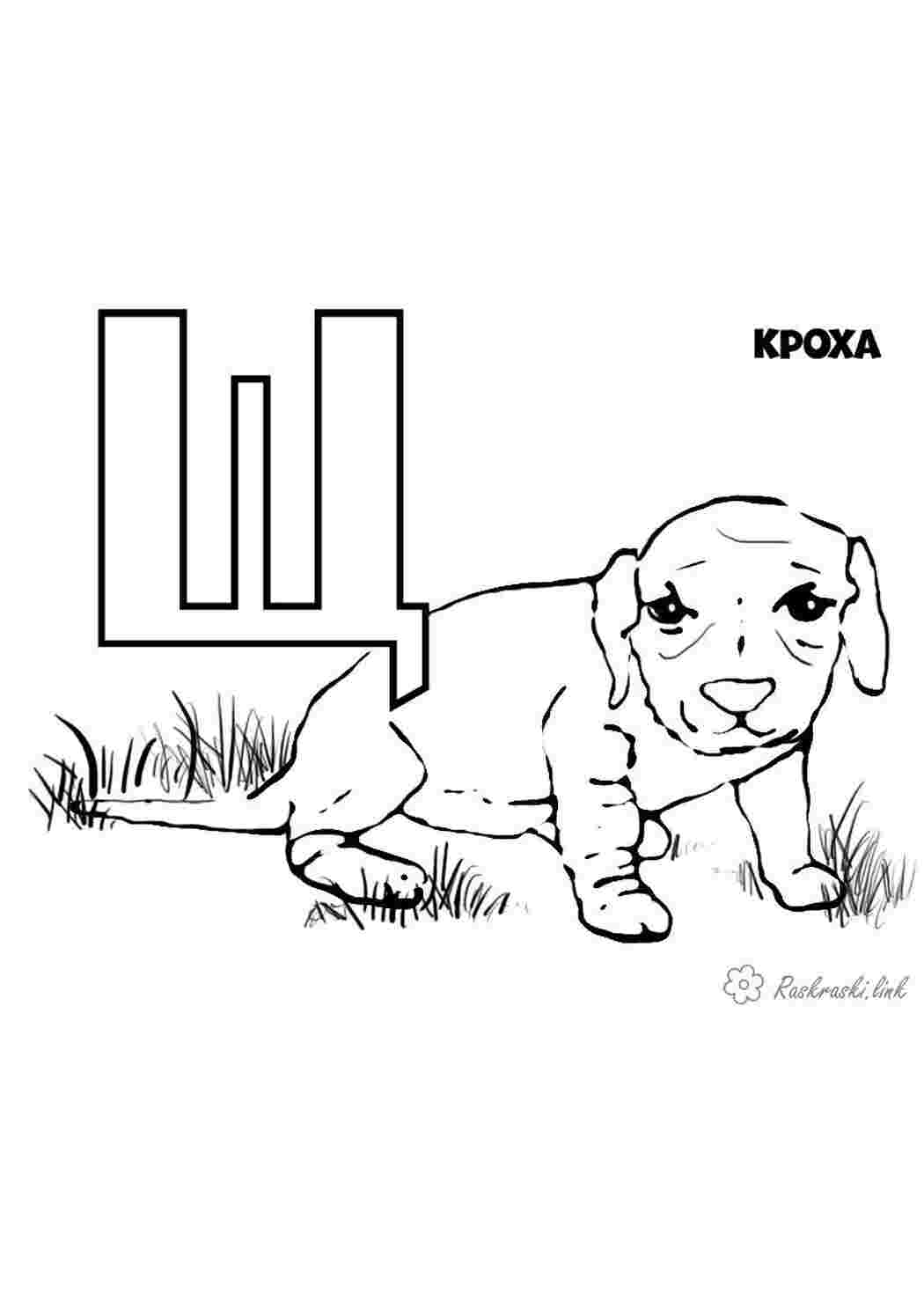 Раскраски щенок раскраска буква Щ Раскраски Раскраски буквы алфавита 