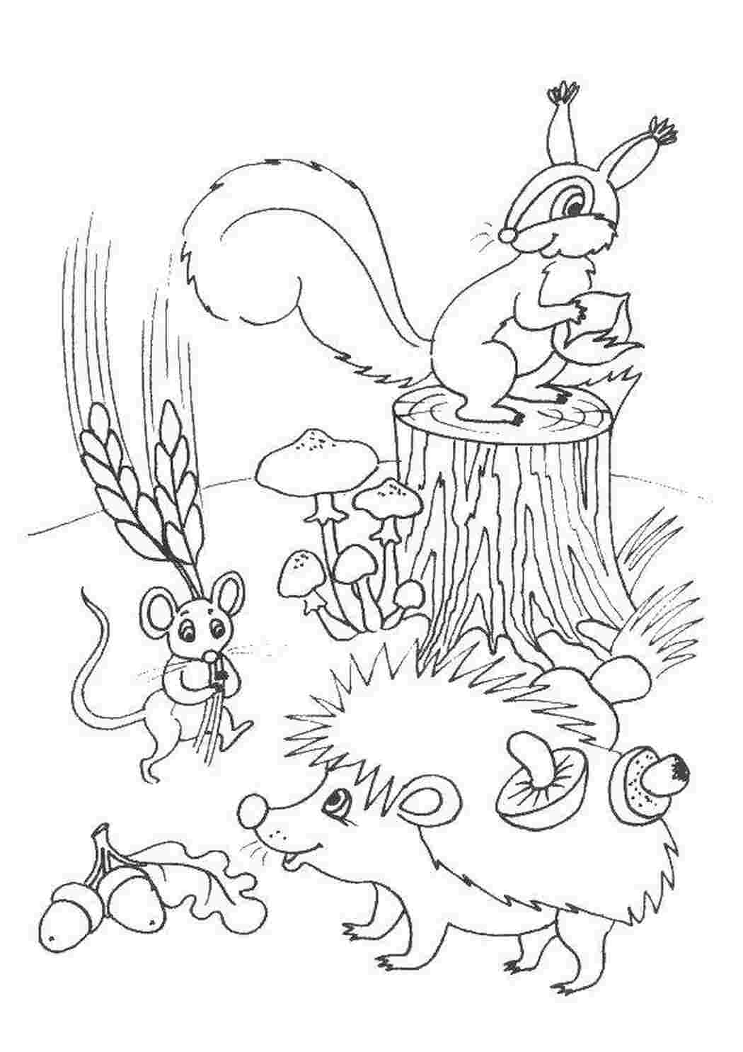 Раскраски Белочка, ежик и мышка осень осень, животные, грибы