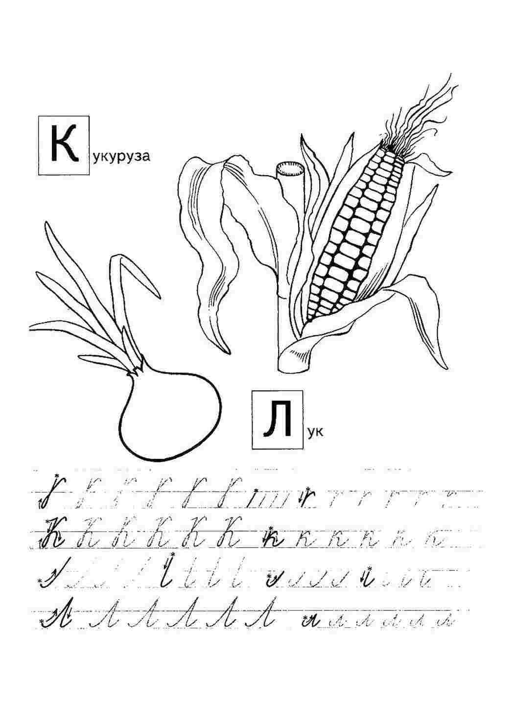 прописи буквы пропись, буквы