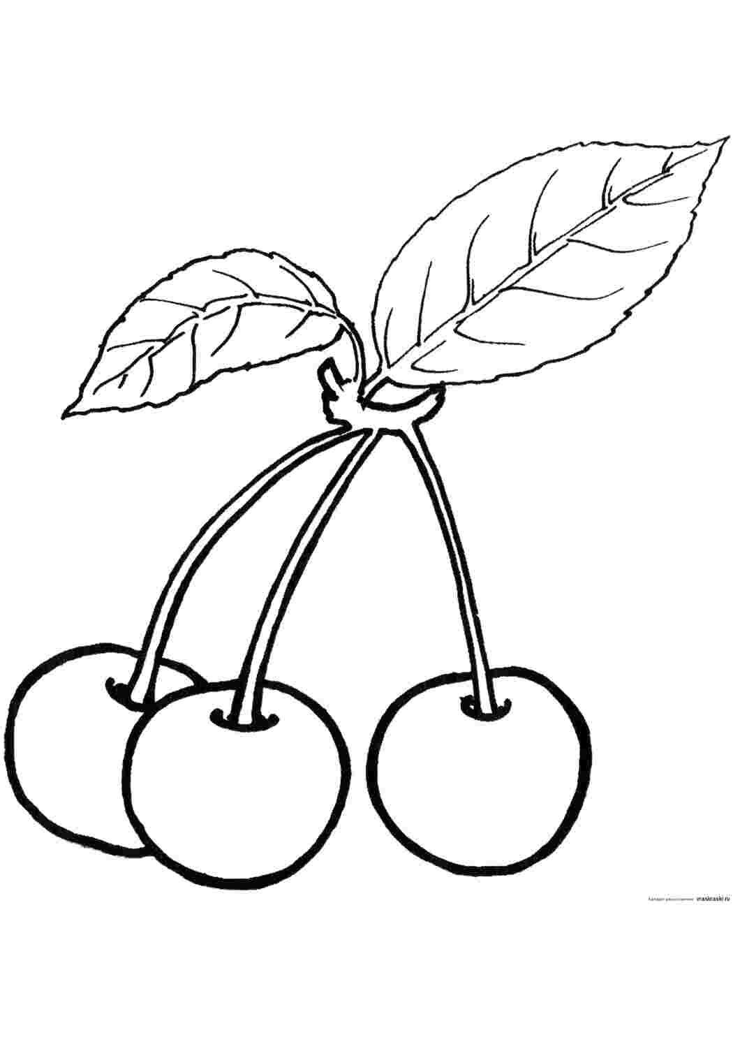 Раскраски Три вишенки и листок Раскраски для малышей Ягоды, вишня