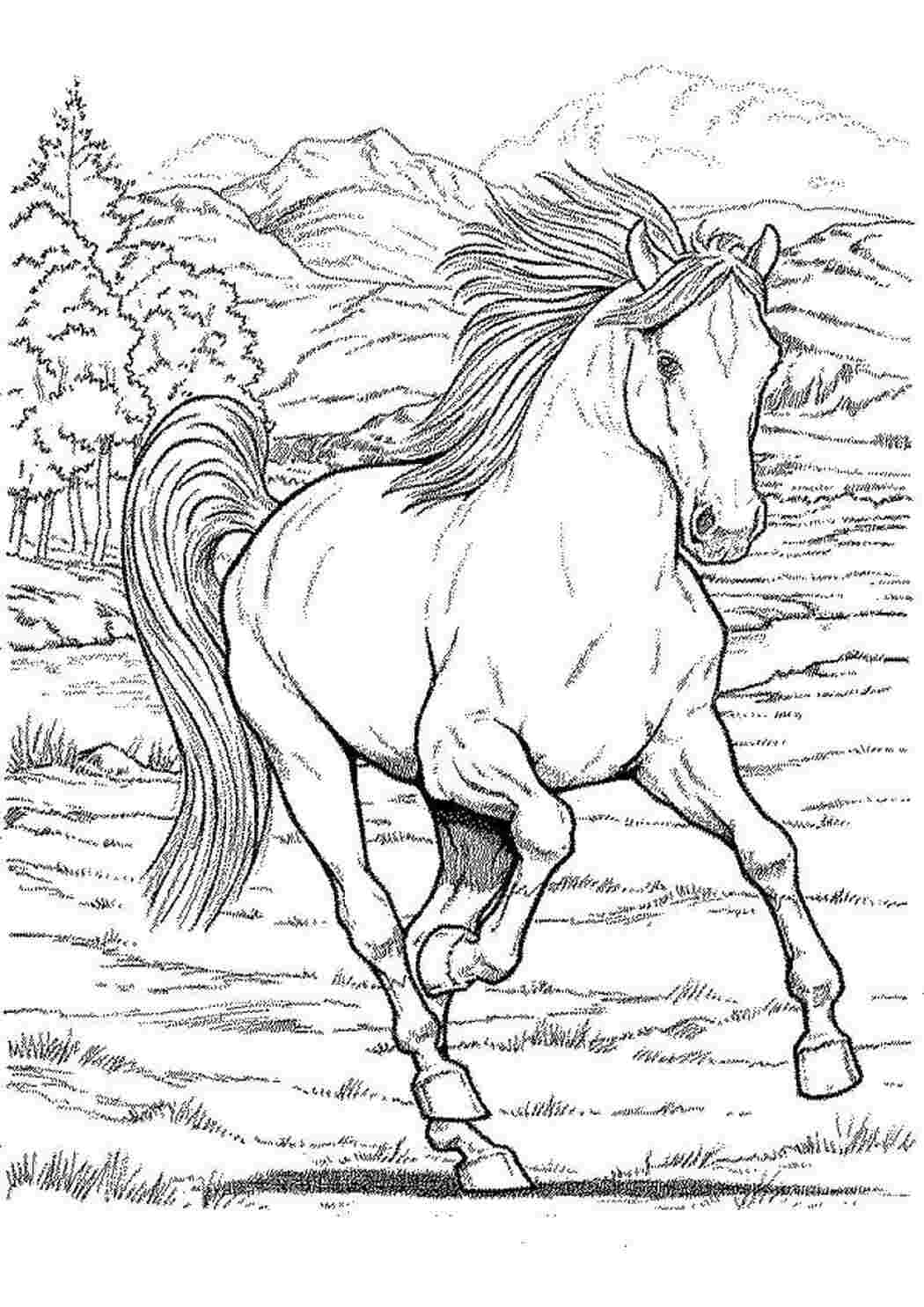 Раскраски Мустанг лошади лошадь, жеребенок