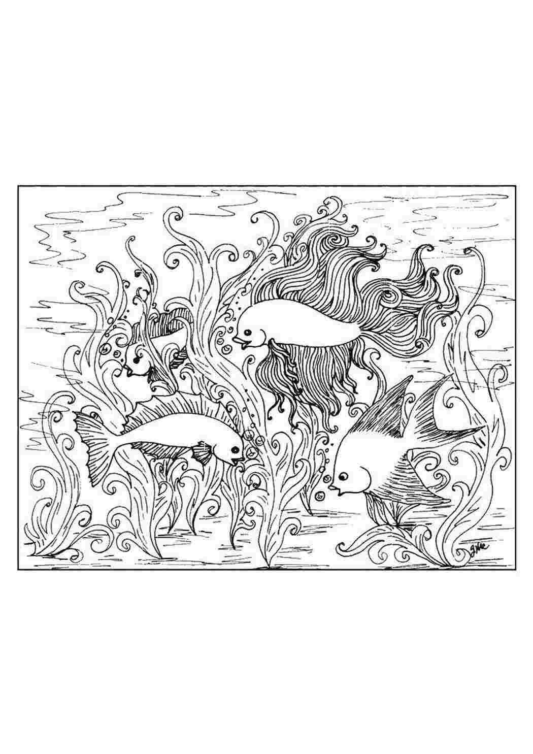 Раскраски Морская картина море рыбы