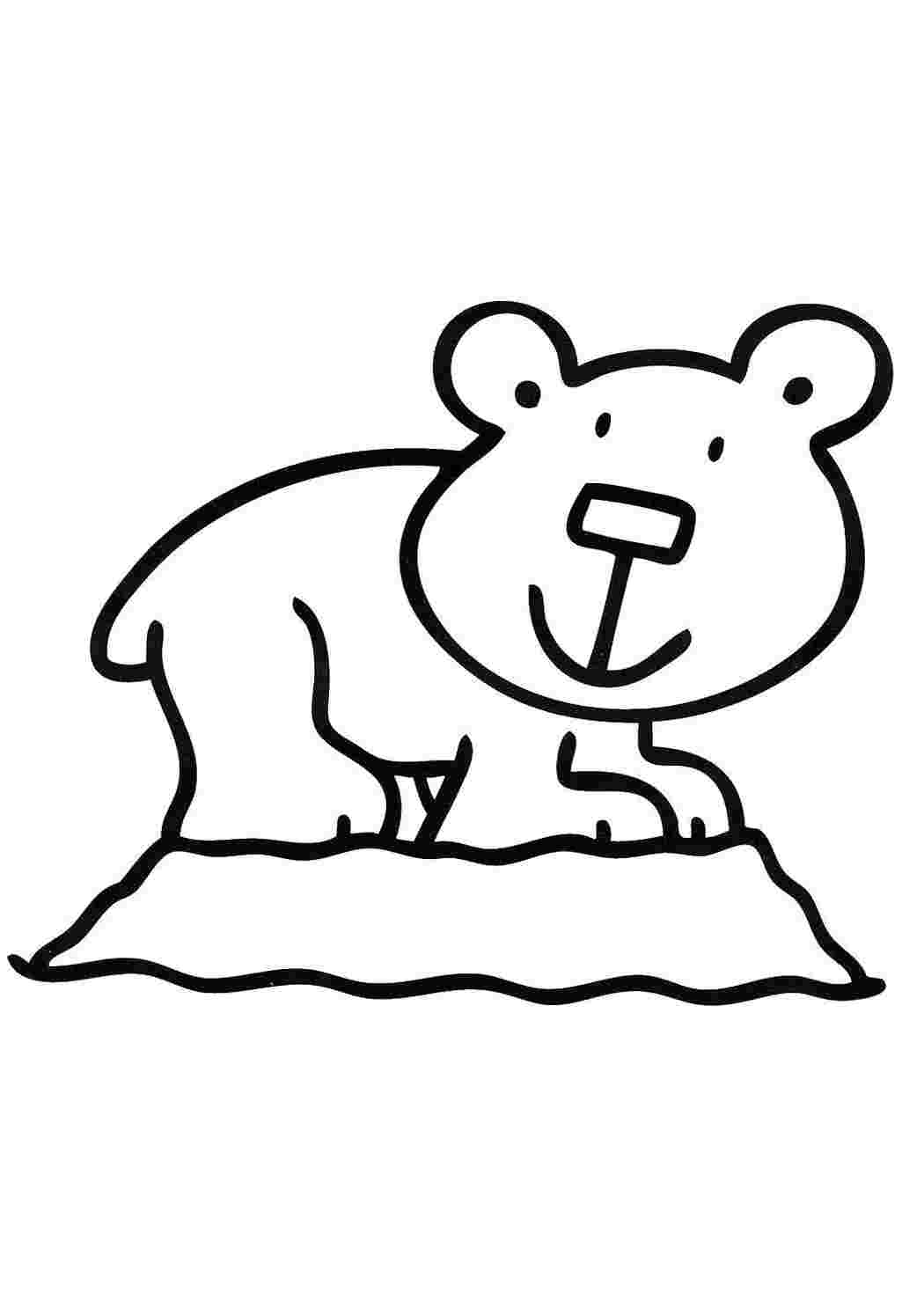 Раскраски Медвежонок медвежонок умка Животные, медведь