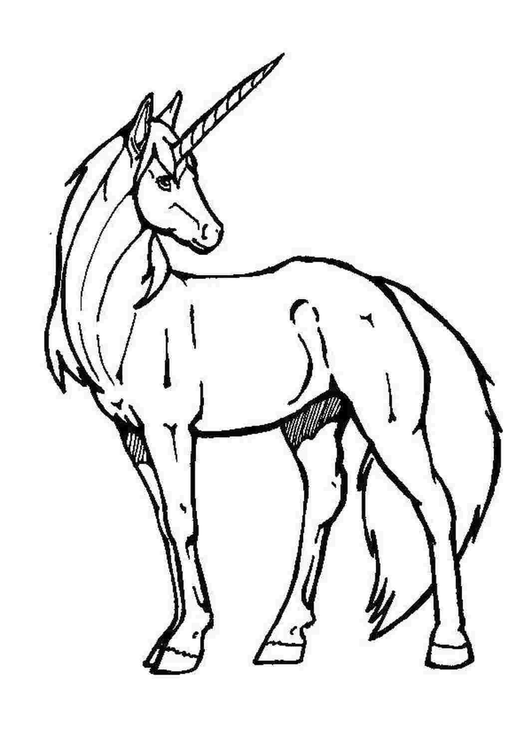 Раскраски Единорог с длинным рогом день святого валентина единорог, конь