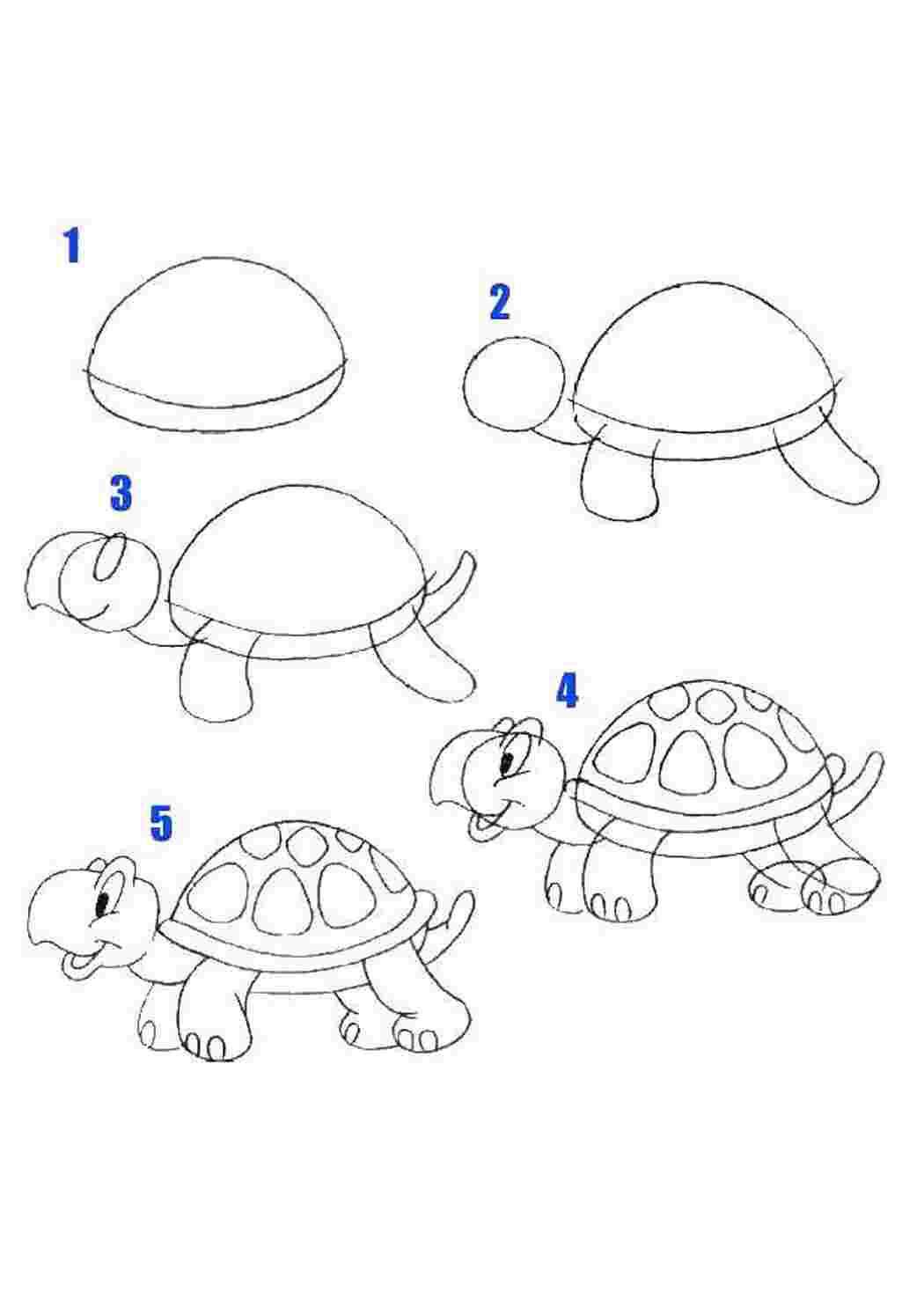 дорисуй по образцу образец, обучение, рисование, черепаха