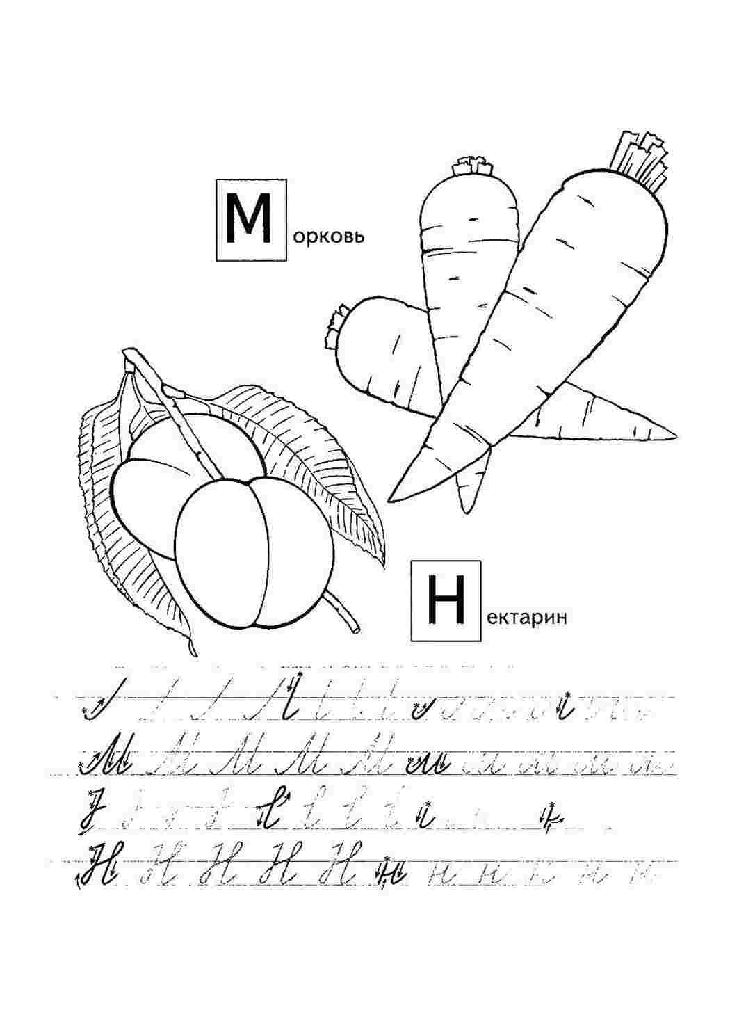 Раскраски Пропись букв м и н прописи буквы пропись, буквы