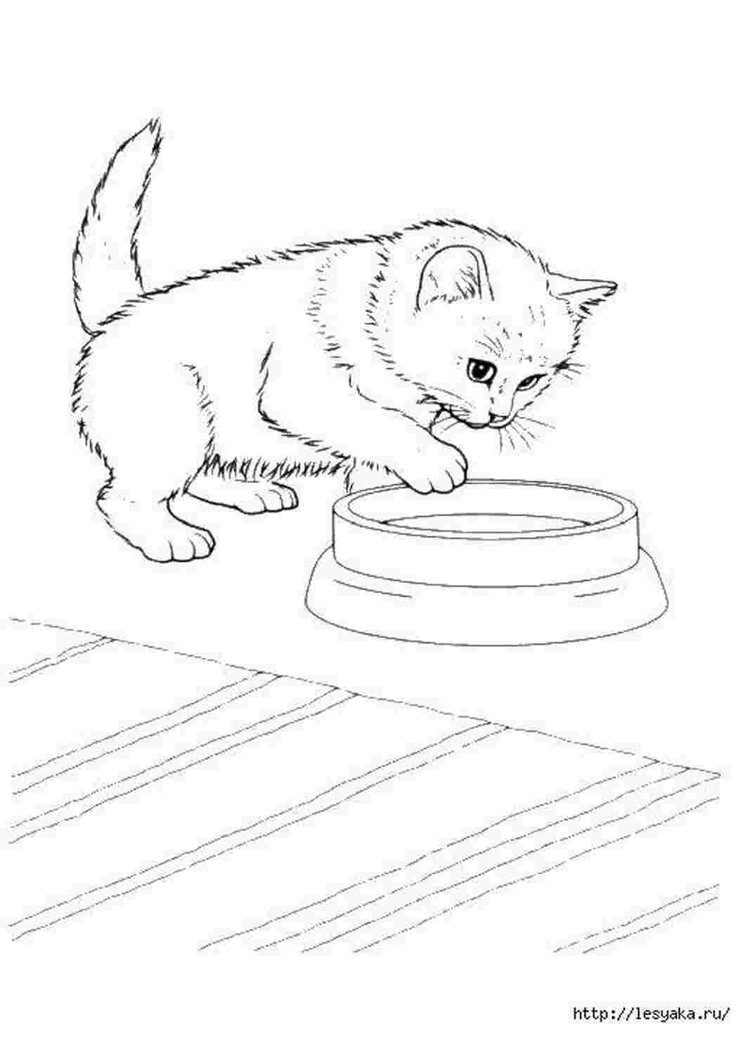 Раскраски Котенок у миски котята котята, кошки, животные
